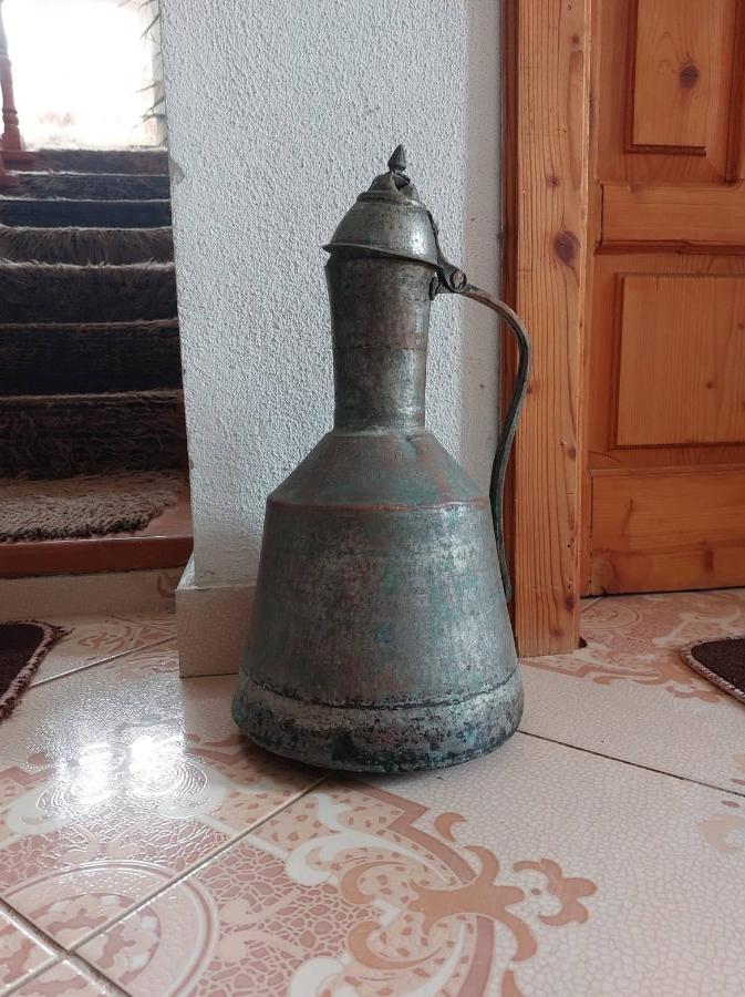 Prespa'S Balcony Guesthouse Dolna Gorica 外观 照片