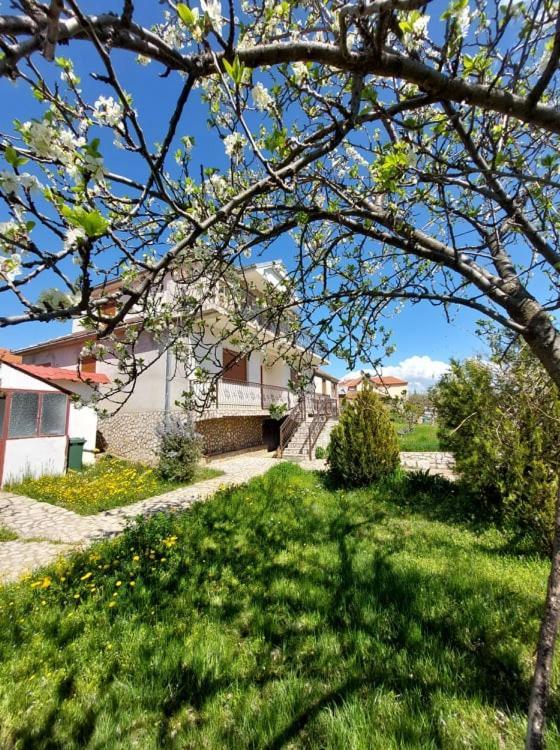 Prespa'S Balcony Guesthouse Dolna Gorica 外观 照片