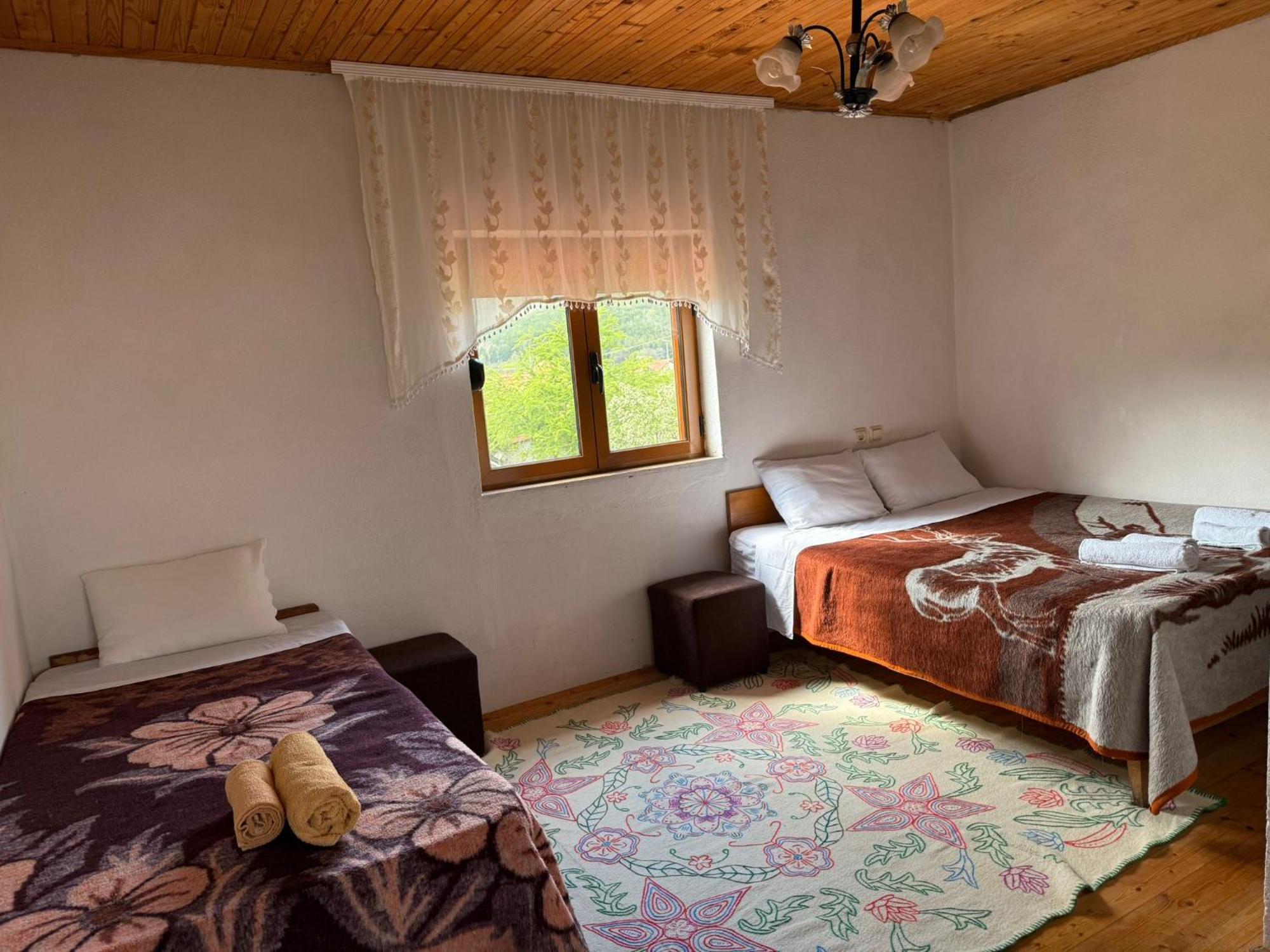 Prespa'S Balcony Guesthouse Dolna Gorica 外观 照片