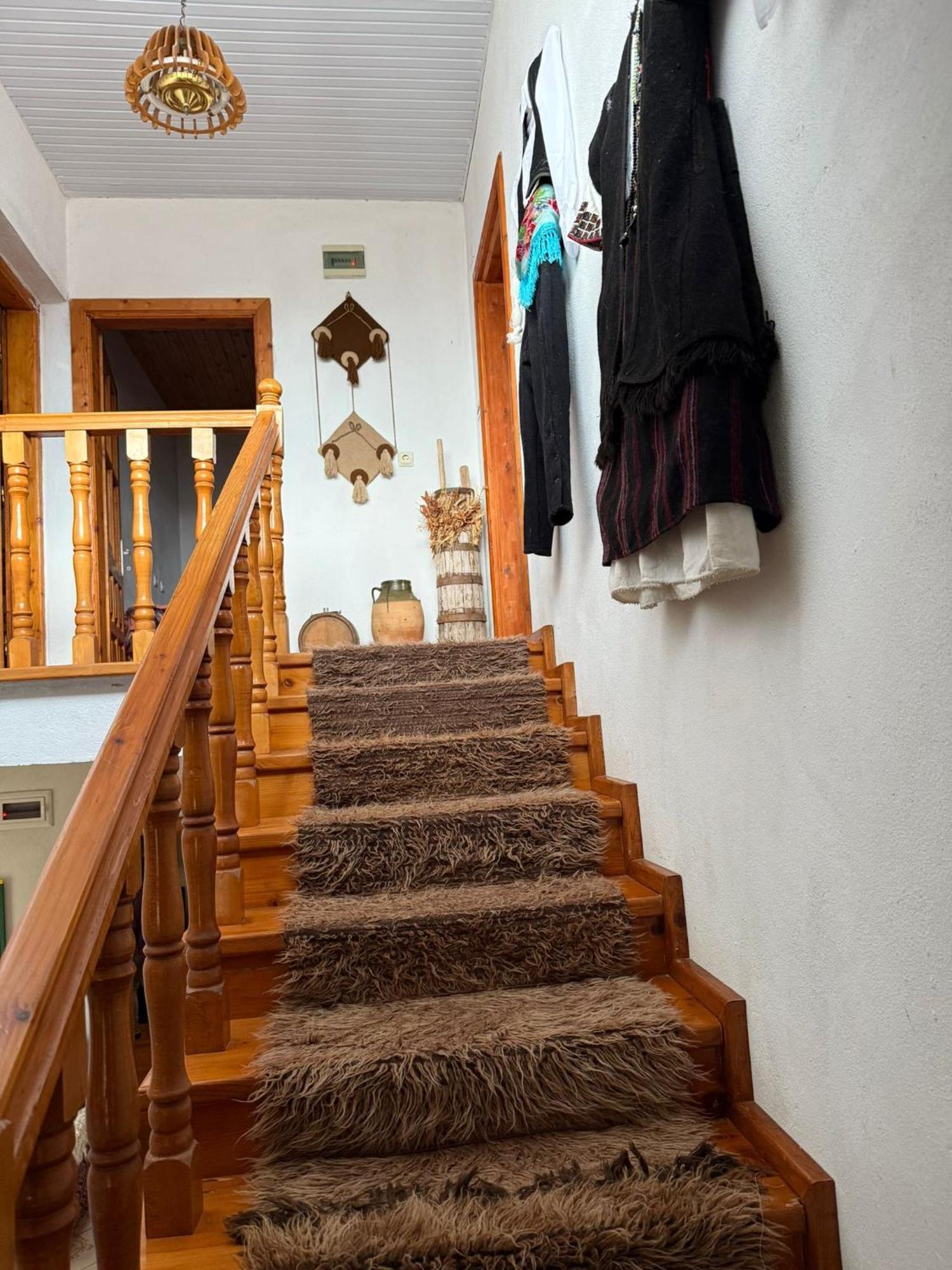Prespa'S Balcony Guesthouse Dolna Gorica 外观 照片