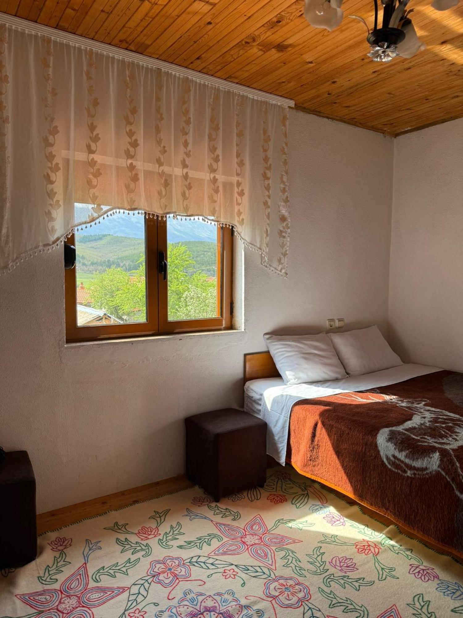 Prespa'S Balcony Guesthouse Dolna Gorica 外观 照片